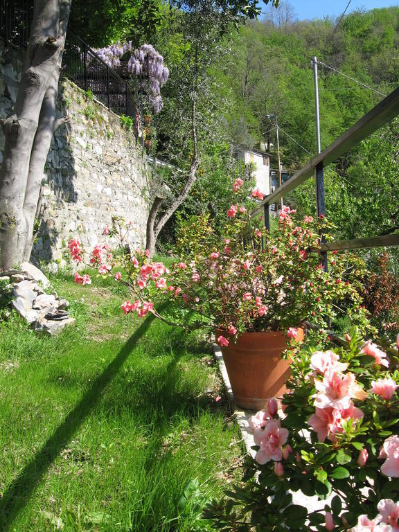 B&B I Glicini Vescina Exterior photo