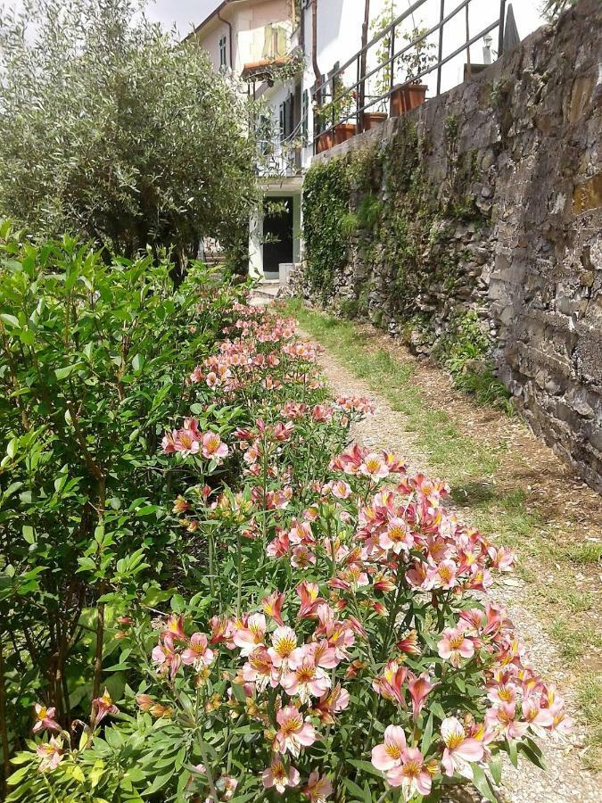 B&B I Glicini Vescina Exterior photo