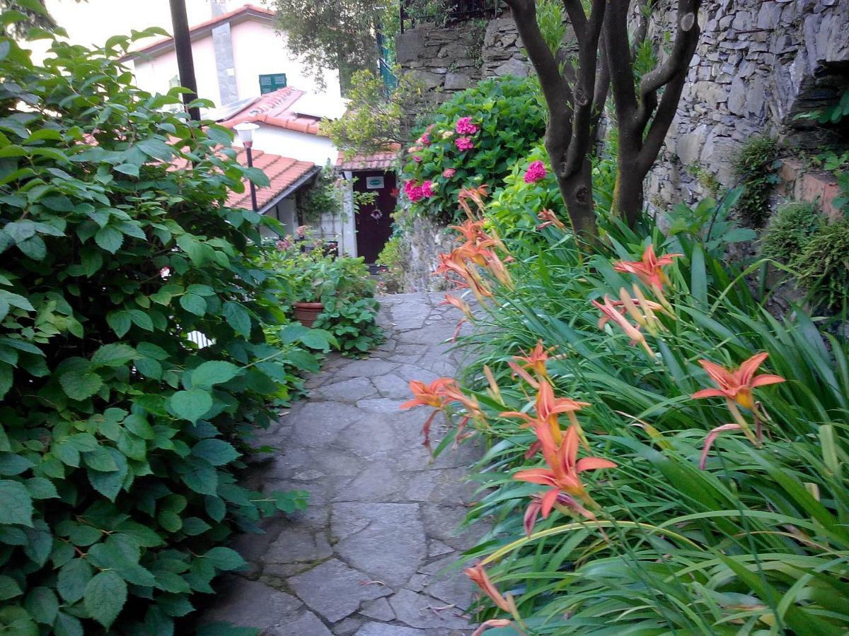B&B I Glicini Vescina Exterior photo