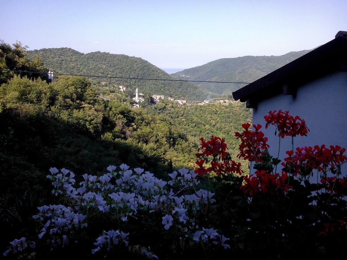 B&B I Glicini Vescina Exterior photo