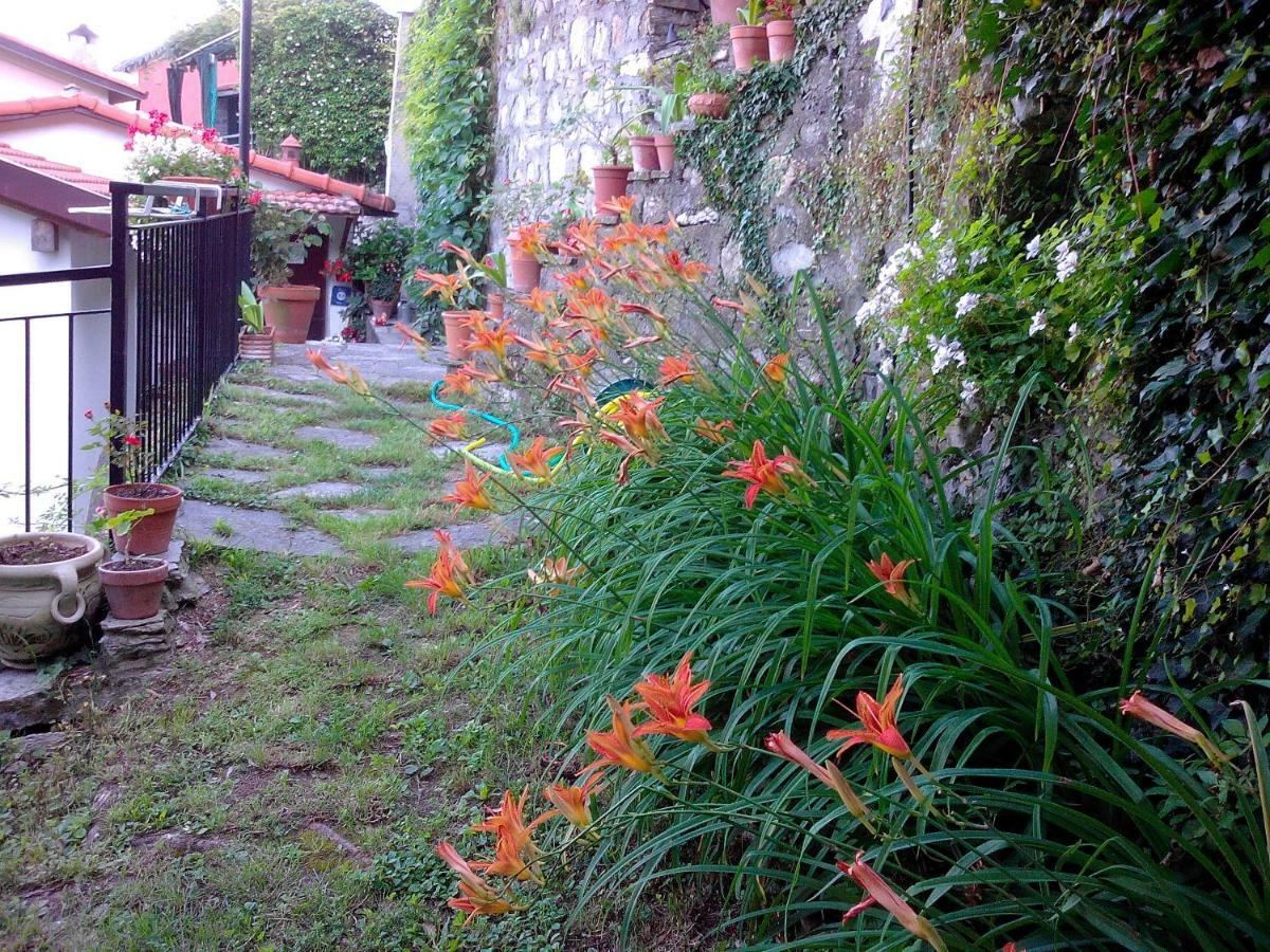 B&B I Glicini Vescina Exterior photo