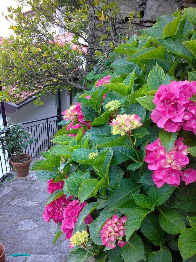 B&B I Glicini Vescina Exterior photo
